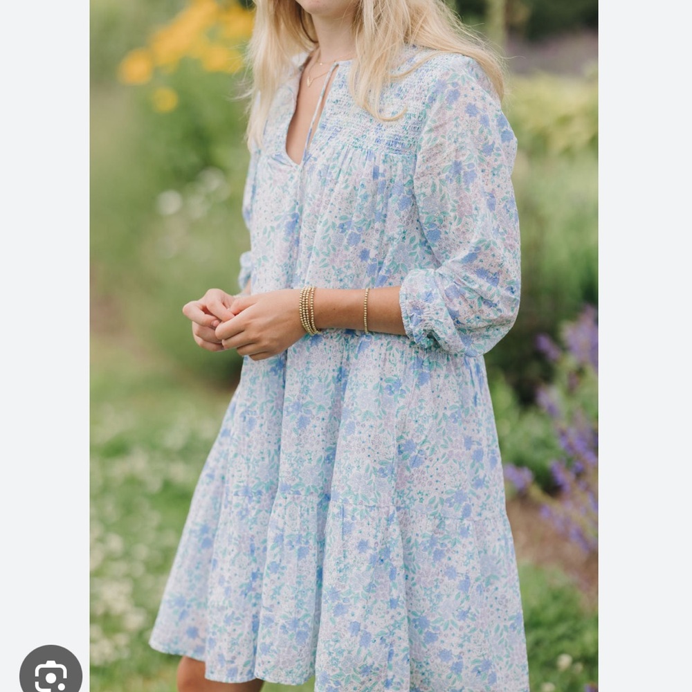 Erica Wilson Libby Dress Blue Summer Garden NWT